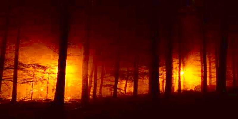 Black Magic Removal Specialist Bengali Baba Ji in india Black Magic Removal Specialist Bengali Baba Ji in india